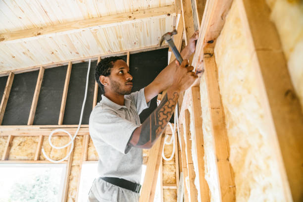 Professional Insulation in Selma, NC